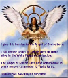 American Indian Angel 100